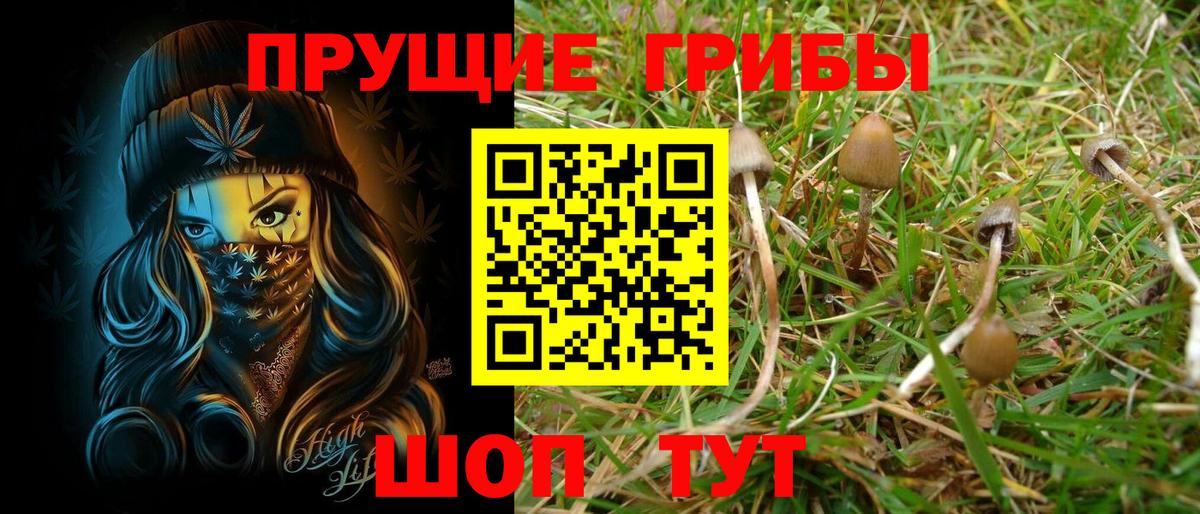 Псилоцибиновые грибы мухоморы Коломна